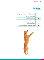 Endoskopie - Hauptkatalog